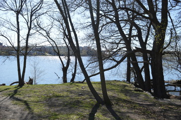 långholmen, stockholm, nature, trees, water, blue sky.
