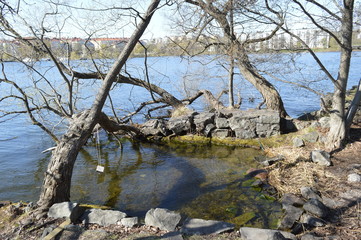 långholmen, stockholm, nature, trees, water, blue sky.