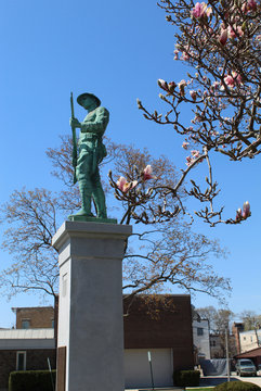 Blooming magnolias in front of Morton Grove, Illinois' Doughboy World War I Monument