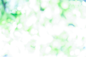 Green background for people who want to use graphics advertising.