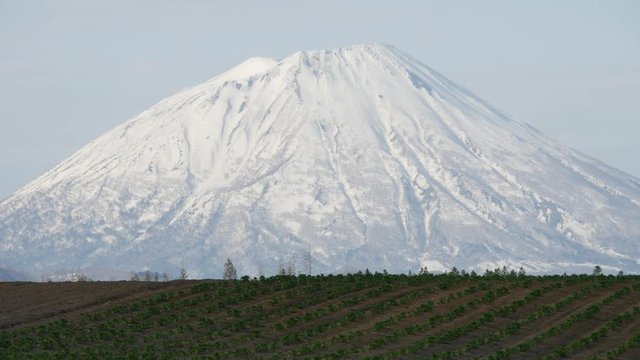 mt yotei in japan