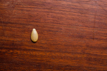 single pumpkin seed on a dark wood surface