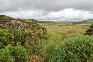 Schottland - Inverpolly-Naturreservat - Glen Canisp