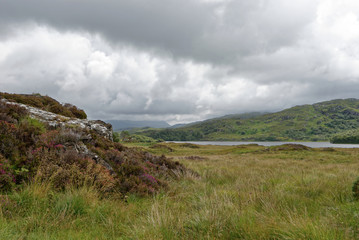 Schottland - Inverpolly-Naturreservat - Glen Canisp