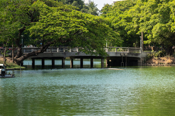 Fototapeta na wymiar Scenery of designed vintage concrete Bridge in Public Park, Thailand