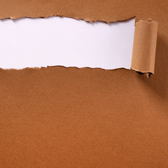 Torn brown paper long rolled edge header frame white background