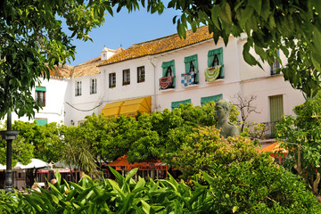 Fototapeta premium Orange Square with trees in old town 