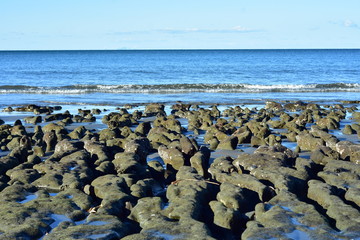 Eroded shelf of soft rock with rounded edges on ocean shore.