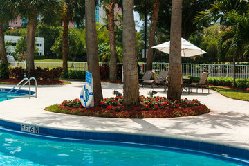 Coconut green palm trees under the sun, pool with blue water, tropical beautiful background. Summer, tourism, holidays, luxury resort, vacation concept