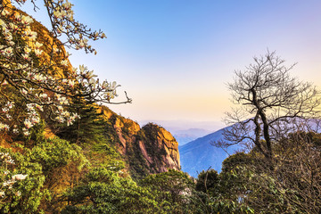 Yellow Mountains Huangshan, Anhui Province in China.