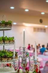 Close-up beautiful wedding cake (plant trees)