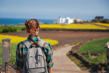 Travel to Jeju Island, South Korea, a young girl tourist walks on the background of blooming yellow fields and blue sea on a spring day. travel to Asia