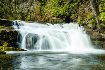 Obraz premium small beautiful waterfall inside forest in the park with moss covered rocks and green trees on the surrounding area.