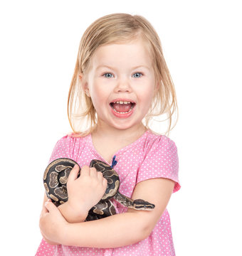 Happy little girl with python in her arms. Isolated on white background