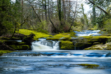 Fototapeta premium small beautiful waterfall inside forest in the park with moss covered rocks and green trees on the surrounding area.