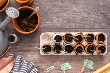 Organic seed starter pots