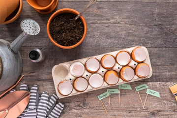 Organic seed starter pots