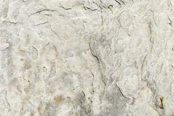 rough rock surface near the coast under the sun