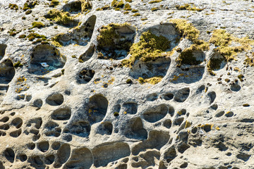 detailed sandstone surface texture with water carved holes on the surface