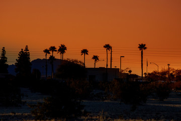 Golden hour with the mountains on the classic Arizona sunset with palm trees