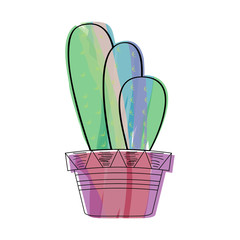 Watercolor cactus in a pot plant. VEctor illustration design