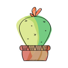 Watercolor cactus in a pot plant. VEctor illustration design