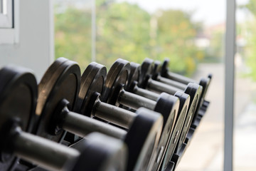 Rows of black dumbbell set on rack in the gym. Weight Training Equipment. Health care concept.