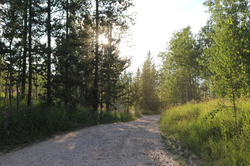 Nature in Grand Tetons