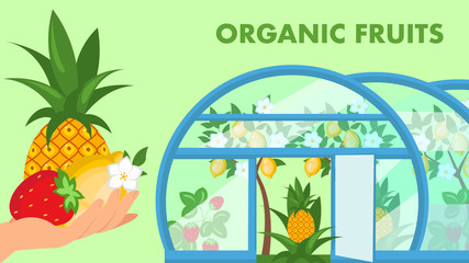 Organic Fruits Web Banner Flat Vector Template
