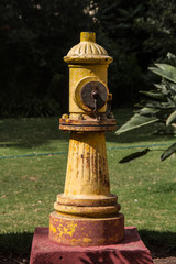 Hydrant in park