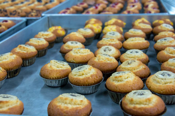  delicious muffin in cup for breakfast