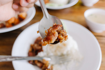 Delicious Fried Pork with Thai rice