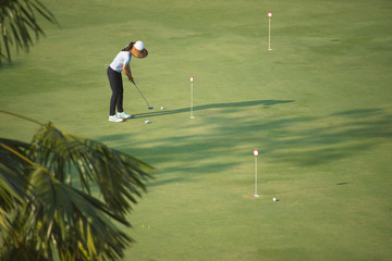 Golfer who are practice putting golf balls on the green in the warm sunshine in the morning.