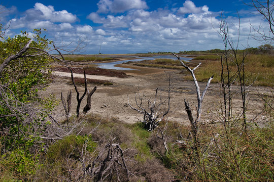 low tide at the Alva beach in australia 