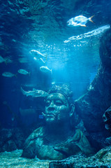 Under the sea in Thailand
