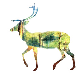 deer with forest background