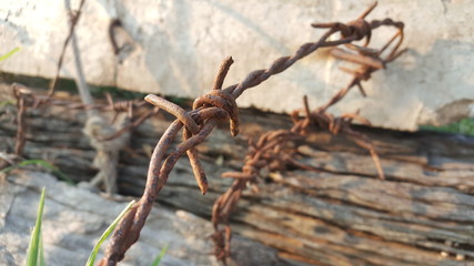 barbed wire on fence Abstract