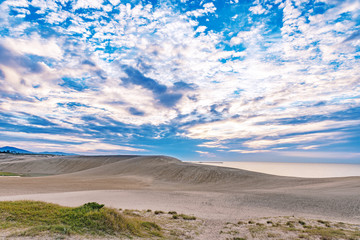 夕暮れの鳥取砂丘