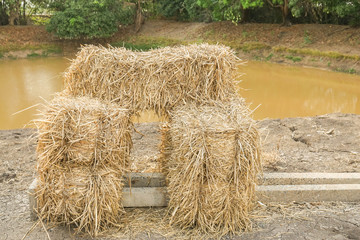 stack of dry rice straw in farm