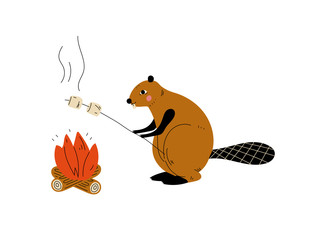 Beaver Roasting Marshmallows on Bonfire, Animal Character Having Hiking Adventure Travel or Camping Trip Vector Illustration © topvectors