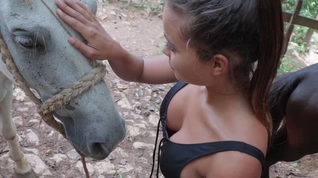 Slow Motion: Young Woman Stroking Between Grey Horse's Eyes in El Limon, Dominican Republic