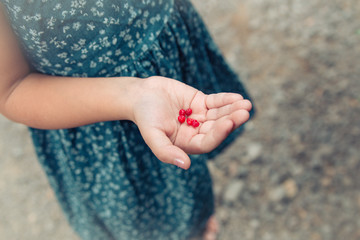 girl's hand. red berries lie on a children's palm