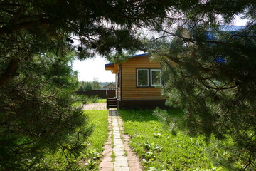 Summer house near the forest. Natural composition. A photo