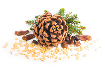 Fototapeta premium Pine nuts and ripe pine cone on a white background