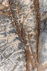 Volcanic veins bleeding through seaside rock texture.