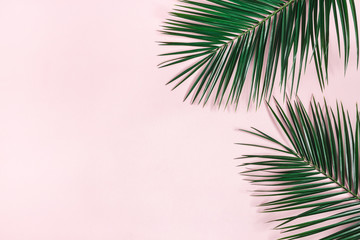Fototapeta na wymiar Summer composition. Tropical palm leaves on pastel pink background. Summer concept. Flat lay, top view, copy space
