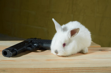 Obraz premium Biały królik z pistoletem