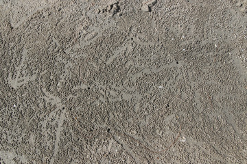 Make a hole in the beach