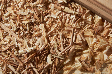 Wood sawdust texture