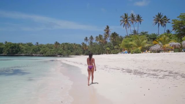 Slow Motion: Beautiful Young Woman in Bikini Walking Away On Sandy Beach in El Limon, Dominican Republic